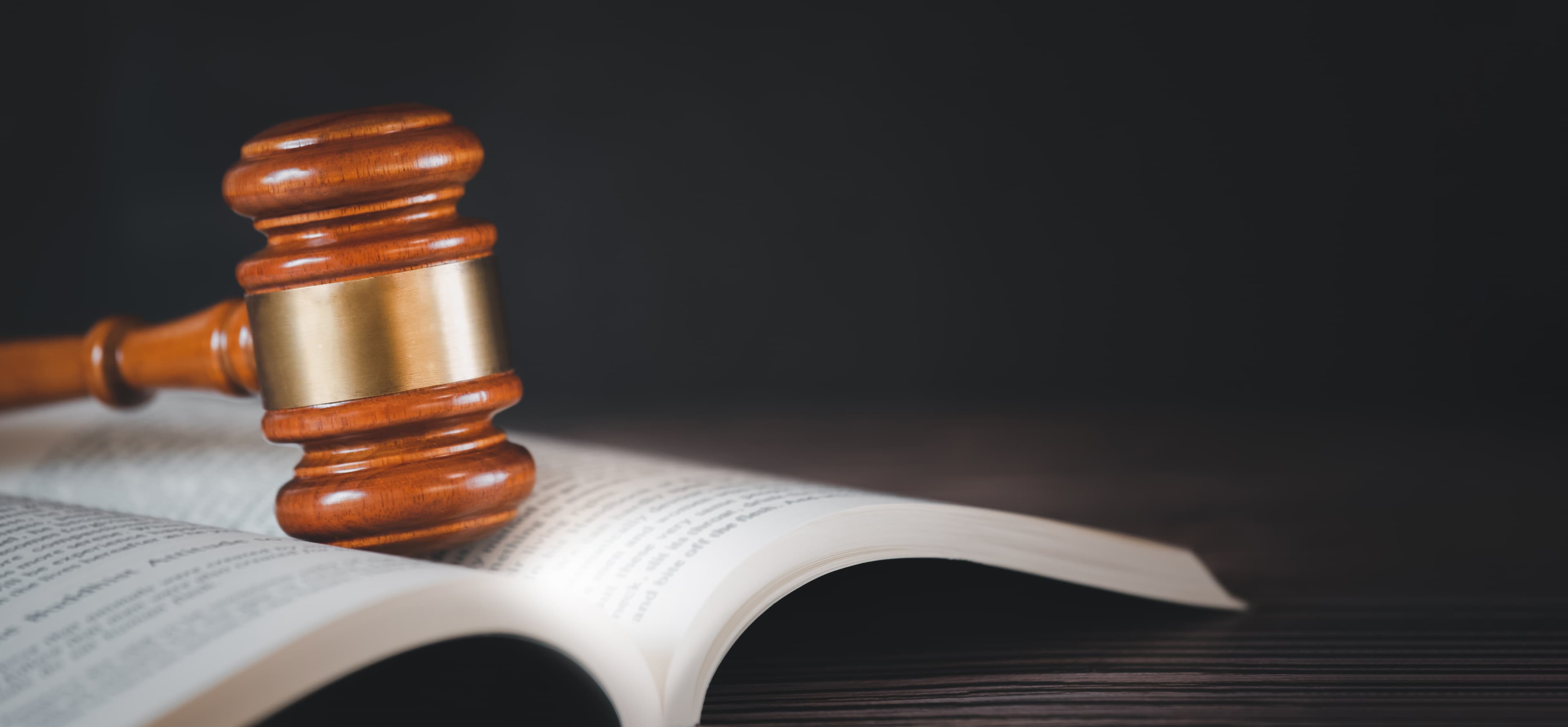 Professional Legal Support Services